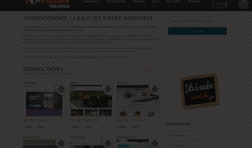 Le site Toorismothemes.com