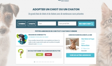 Chiot-et-Chaton.fr, adoptez un compagnon de race en toute sérénité