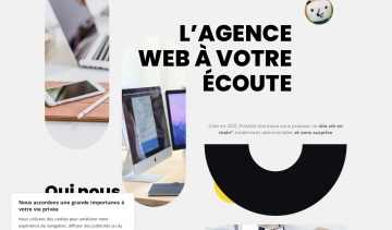 ProWeb Solutions, votre partenaire pour des sites performants