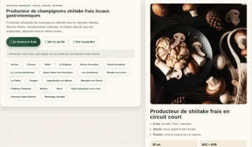 Production artisanal de shiitake dans le vignovle nantais