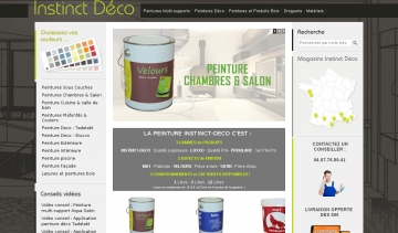 peinture sur internet avec instinct-deco