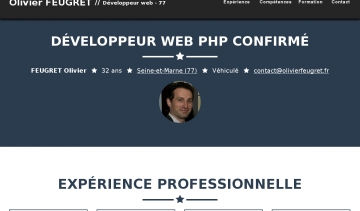 Développeur web 77