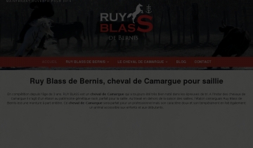 Ruy Blass