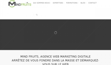 agence Mindfruits