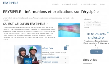 Capture du site erysipele.fr