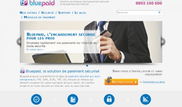 bluepaid, moyen de paiement en ligne