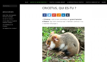 Site de cricetus, le grand hamster d'Alsace