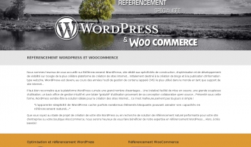 Référencement WordPress, agence de référencement des sites internet