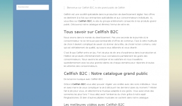 Cellfish-b2c, votre société de production de divertissement digital 