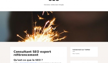 Samuel Hounkpe, consultant SEO et expert en référencement