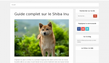 Le Shiba Inu, l'animal de compagnie idéal