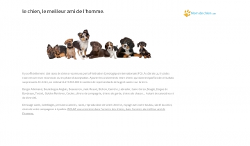 Wouaf, plateforme dédiée au monde des chiens et de leurs maîtres