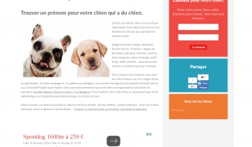 Nom de Chien, guide pour nommer votre chien