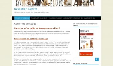 Collier de Dressage, guide web sur les meilleurs colliers de dressage 