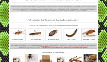 Vente insecte, boutique spécialisée en vente d'insectes vivants