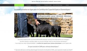 CDC Domestique, formation préparatoire pour le CAPA