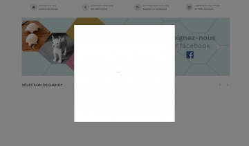 Decoshop, vente d'articles de décoration et de meubles tendance