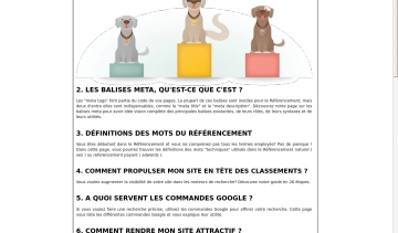 Rankspirit : comprendre le référencement et le positionnement sur Google