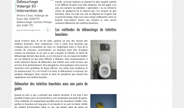 deboucher toilettes