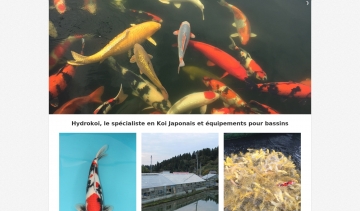 Hydrokoi, vos meilleurs équipements d'élevage de carpes Koi