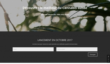 holyweed, comprendre davantage la production du cannabis et les exigences de la loi