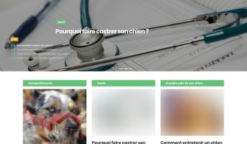 Polux, blog de conseils sur les chiens