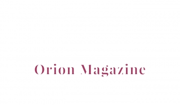 Orion Magazine, guide sur la mode et les bijoux