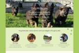 Dog Attitude : Centre des spécialistes d’élevage des chiens à Mougins