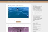 ycabers.fr : votre guide d'information sur la mer et le nautisme