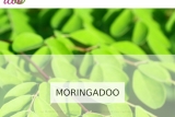 Moringadoo, boutique en ligne de vente du Moringa