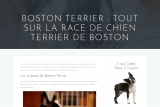 Boston Terrier, votre blog d’information sur le terrier de Boston