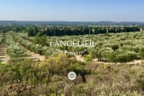 Lancelier en Provence