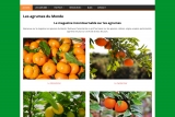 Les Agrumes du Monde : pour en savoir plus sur le mandarinier