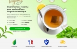 Thé Toujours: tout savoir sur le thé vert bio