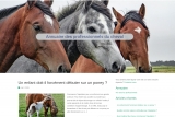 Centres équestres, site d'informations et d'actualités sur l'équitation