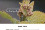 La Fleur wines, producteur de vins de qualité en Suisse