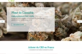 Flavour CBD, vente en ligne de cannabis légal en France