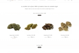 Wild Grass CBD, les meilleurs produits à base de cannabis