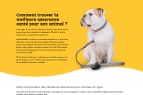 Comparateur Mutuelle Animaux, guide des meilleures assurances pour animaux de compagnie