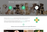 CBD Animaux, le guide comparatif du CBD pour animaux