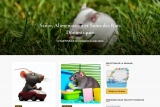blog rat domestique