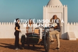 Marrakech Insiders, une manière originale de découvrir Marrakech