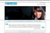 Agence Birdwell - Agence de formation, traduction et consulting