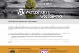 Référencement WordPress, agence de référencement des sites internet