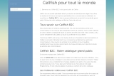 Cellfish-b2c, votre société de production de divertissement digital 