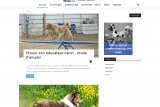 Votre-chien.com, c'est une plateforme riche en connaissances pour les amoureux des chiens.