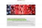 Greenberry, boutique en ligne de pâtisserie saine