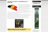 Casinos légalisés en Belgique