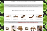 Vente insecte, boutique spécialisée en vente d'insectes vivants